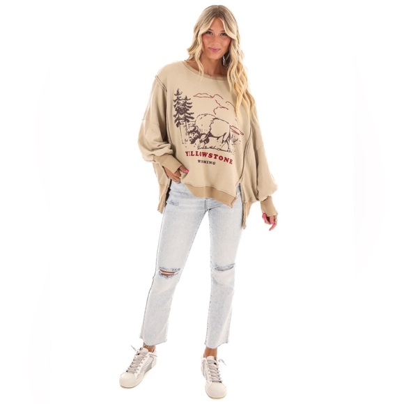 🆕FREE PEOPLE YELLOWSTONE We The Free Graphic Camden Pullover-Size Small - Picture 11 of 15